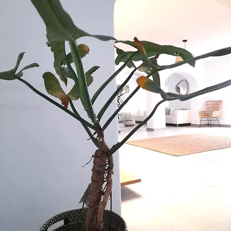 Renovated Mahalo With Swimming Pool & Tennis Court Tias